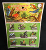 Vintage Hong Kong The World Of Birds